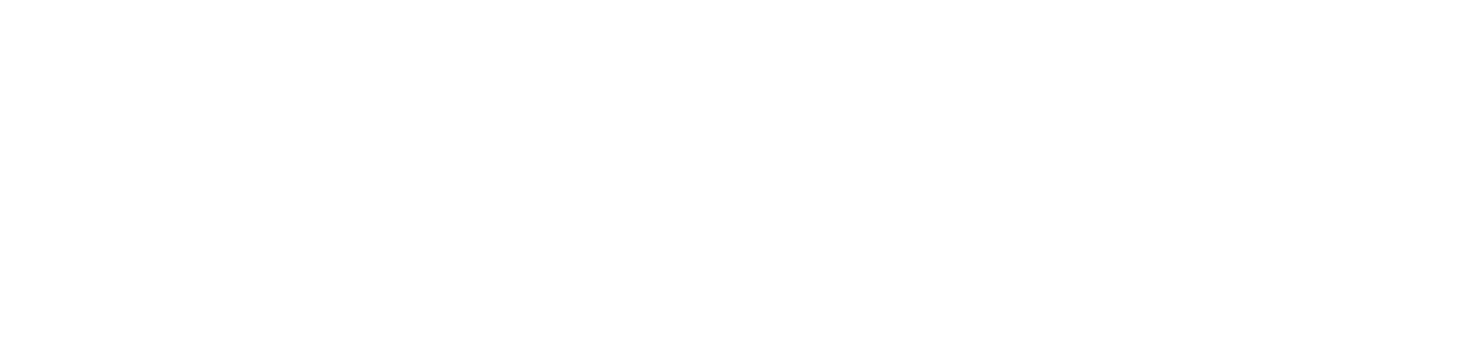 P1ONEER